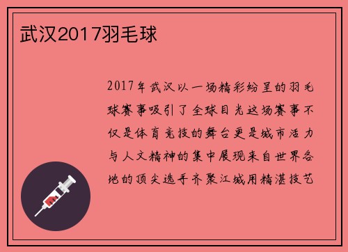 武汉2017羽毛球